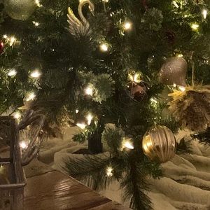 Meet your Posher, Wesley